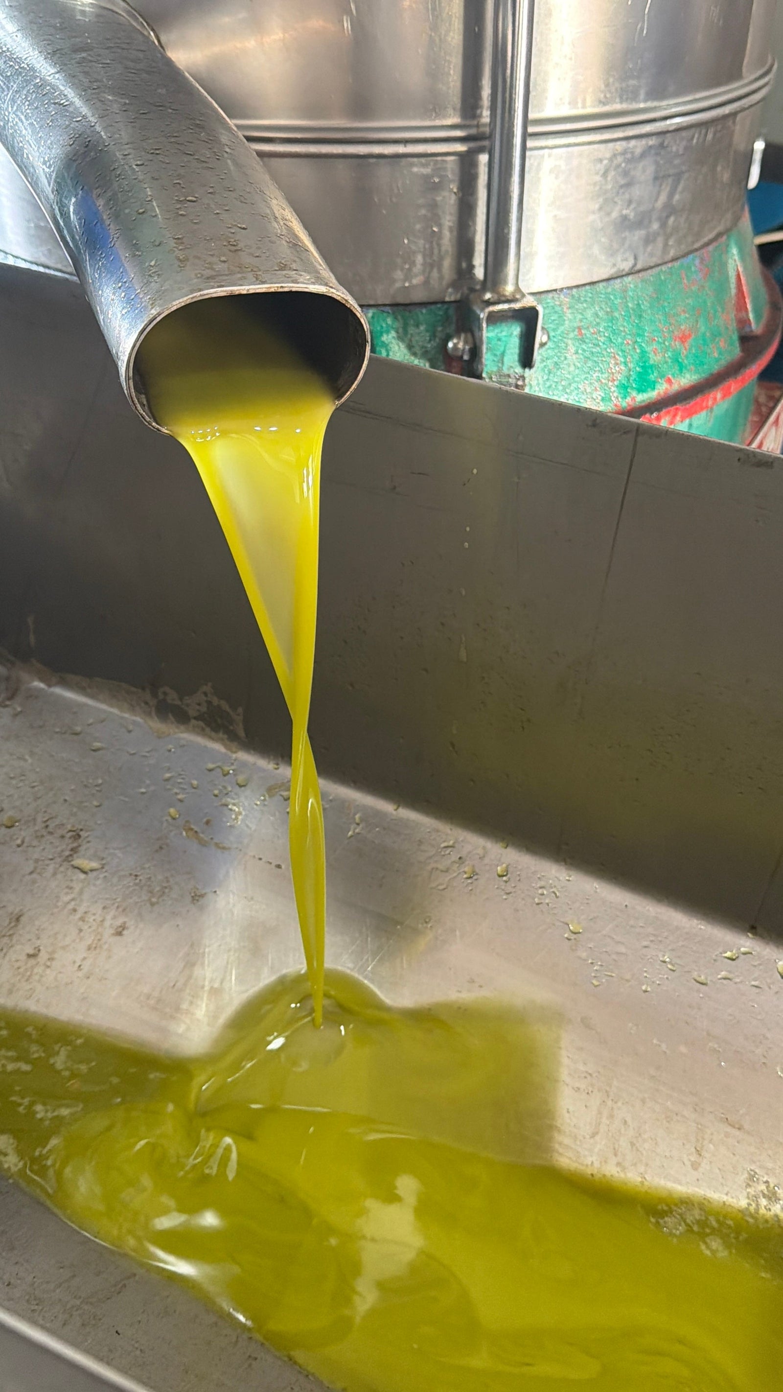 Tips & Tricks on how to pick a High-Quality EVOO: Dark or light bottle?